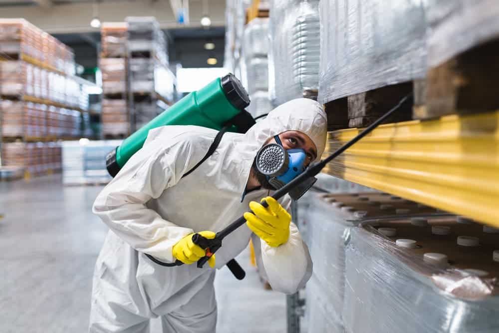 EcoLux Débarras Luxembourg